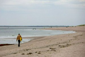 IMG_9926.jpg