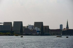 IMG_8409.jpg