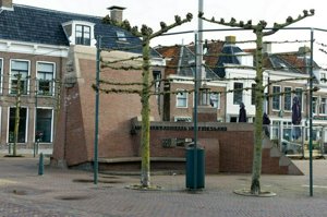 IMG_4037.jpg