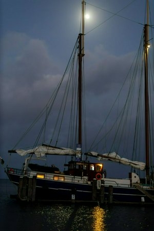 IMG_5314.jpg