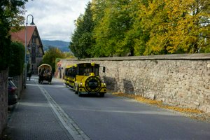 IMG_0124.jpg