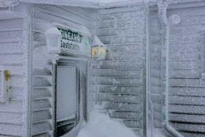 IMG_2639.jpg