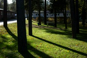 IMG_0371.jpg