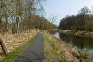 IMG_8741.jpg