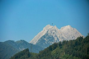 IMG_5259.jpg