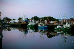 IMG_7022.jpg