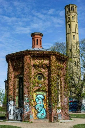 IMG_8267.jpg
