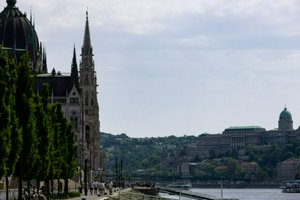 IMG_4494.jpg
