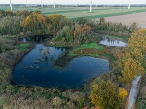 DJI_0257.jpg