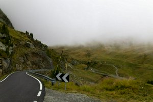 IMG_1083.jpg