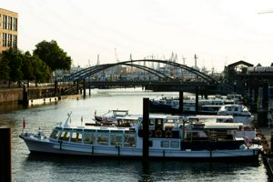 IMG_0100.jpg