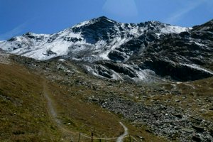 IMG_1630.jpg