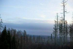 IMG_1470.jpg
