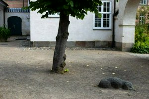 IMG_8441.jpg
