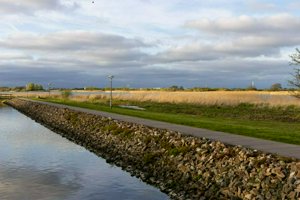 IMG_2272.jpg