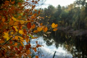 IMG_8454.jpg
