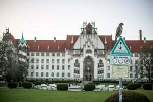 IMG_7555.jpg