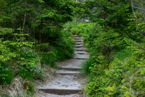 IMG_1193.jpg