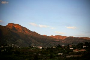 IMG_3704.jpg