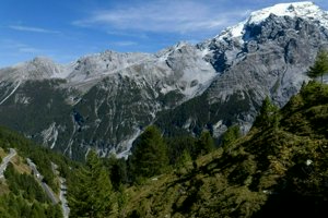 IMG_1803.jpg