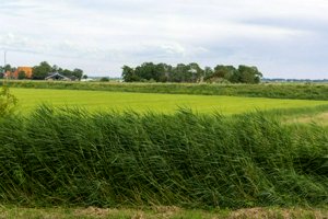 IMG_0213.jpg