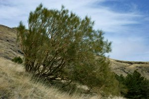 IMG_9394.jpg