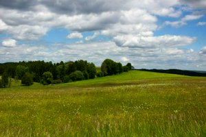 IMG_9037.jpg