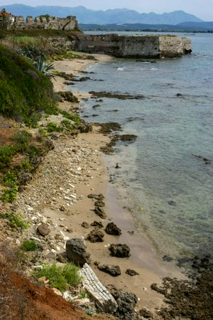 IMG_3308.jpg