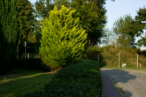 IMG_8890.jpg