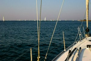 IMG_8565.jpg