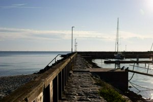 IMG_7380.jpg