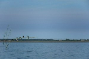 IMG_9836.jpg
