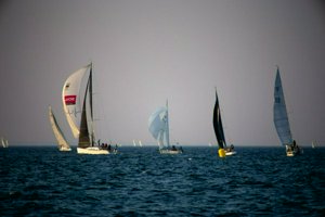 IMG_8601.jpg