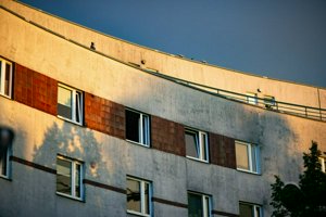 IMG_1654.jpg