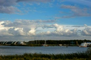 IMG_2815.jpg