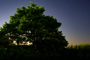IMG_6118_1.jpg