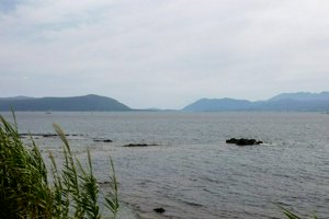 IMG_3318.jpg