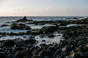 IMG_3029.jpg