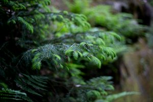 IMG_1212.jpg