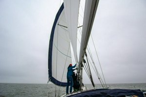 IMG_8815.jpg