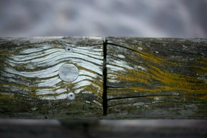 IMG_8906.jpg