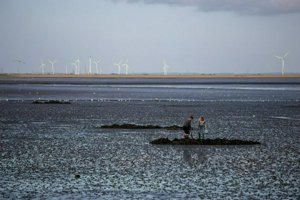 IMG_6907.jpg