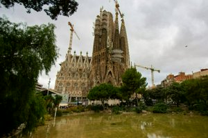 IMG_9442.jpg