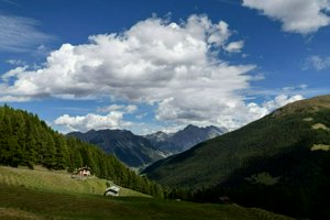 IMG_0740.jpg