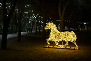 IMG_1300.jpg