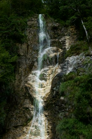 IMG_6699.jpg