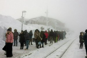 IMG_2937.jpg
