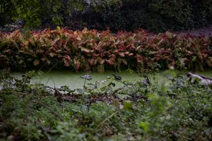 IMG_2038-Enhanced-NR.jpg