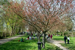 IMG_5627.jpg