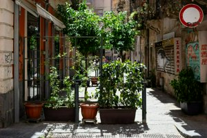 IMG_8996.jpg